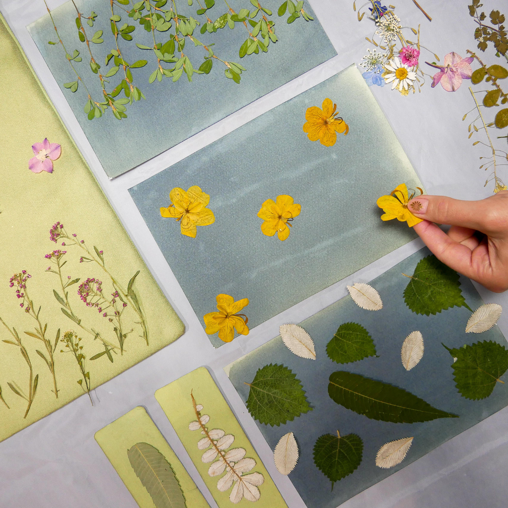 Cyanotype Kit
